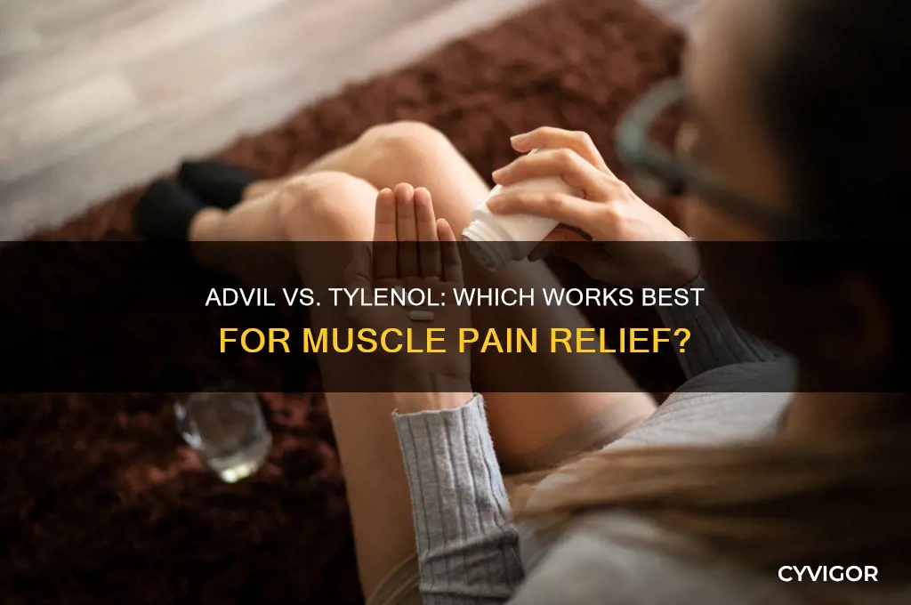 what to take for muscle pain advil or tylenol