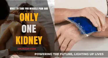 Managing Muscle Pain Safely with One Kidney: Essential Tips and Remedies