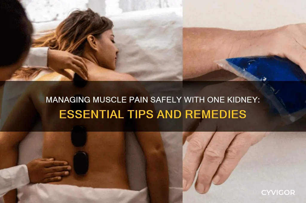 what to take for muscle pain and only one kidney