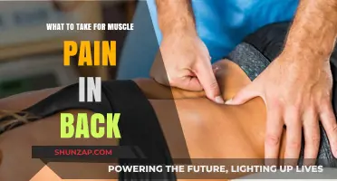 Effective Remedies for Relieving Persistent Back Muscle Pain