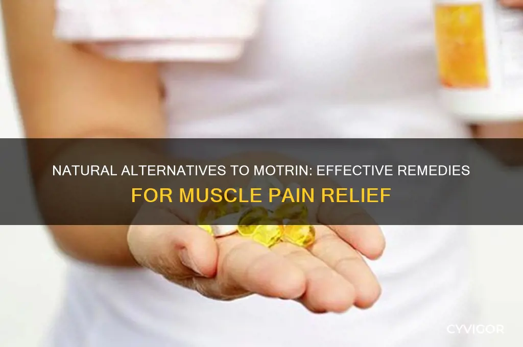 what to take for muscle pain instead of motrin