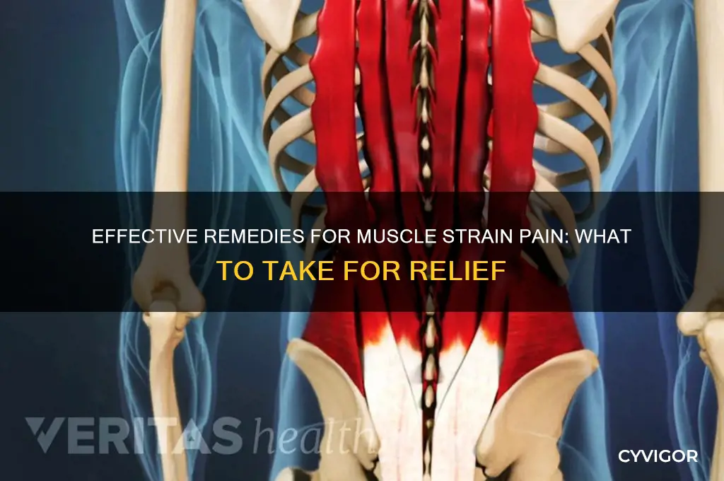 what to take for muscle strain pain