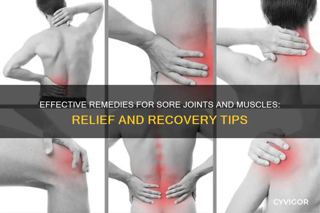 what to take for sore joints and muscles
