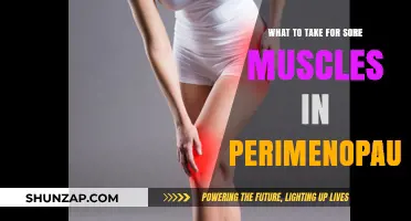 Easing Perimenopause Muscle Soreness: Remedies for Relief and Recovery