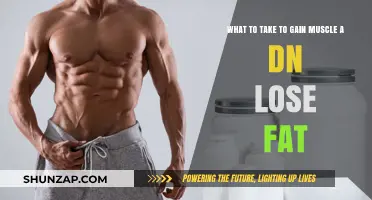 Effective Supplements for Muscle Gain and Fat Loss: A Comprehensive Guide
