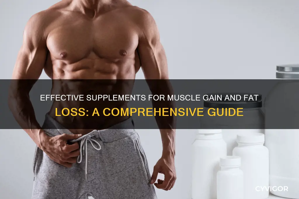 what to take to gain muscle a dn lose fat