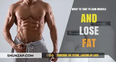 Effective Supplements and Strategies for Muscle Gain and Fat Loss