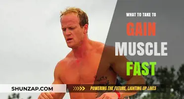 Effective Muscle-Building Essentials: Supplements, Diet, and Training Tips