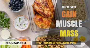 Essential Supplements and Foods to Fuel Muscle Mass Growth