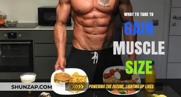 Essential Muscle-Building Supplements and Foods for Maximum Size Gains