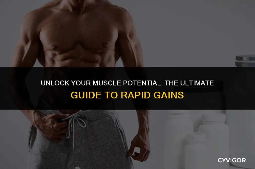what to take to get muscles fast
