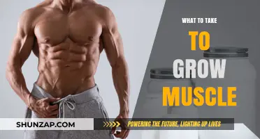 Essential Muscle-Building Supplements and Strategies for Optimal Growth