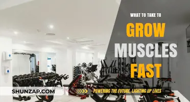 Effective Muscle Growth Strategies: Essential Tools for Rapid Results