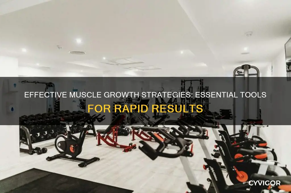 what to take to grow muscles fast