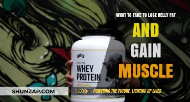 Effective Supplements for Shedding Belly Fat and Building Muscle Mass