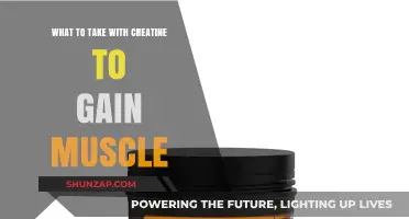 Maximize Muscle Gains: Best Supplements to Pair with Creatine