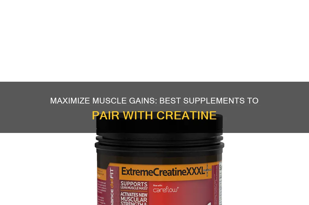 what to take with creatine to gain muscle