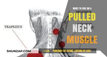 Effective Remedies for Pulled Neck Muscle Relief and Recovery Tips