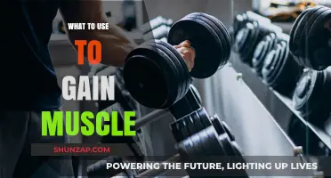 Effective Strategies and Tools to Maximize Muscle Gain Quickly