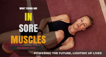 Unveiling Hidden Toxins in Sore Muscles: Causes, Risks, and Remedies