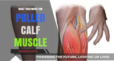 Effective Pulled Calf Muscle Treatment: Recovery Tips and Remedies