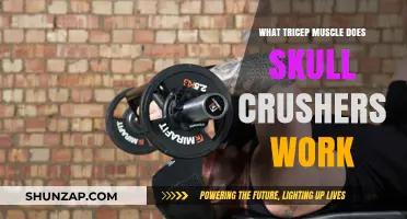 Skull Crushers: Targeting Triceps for Maximum Muscle Growth and Strength