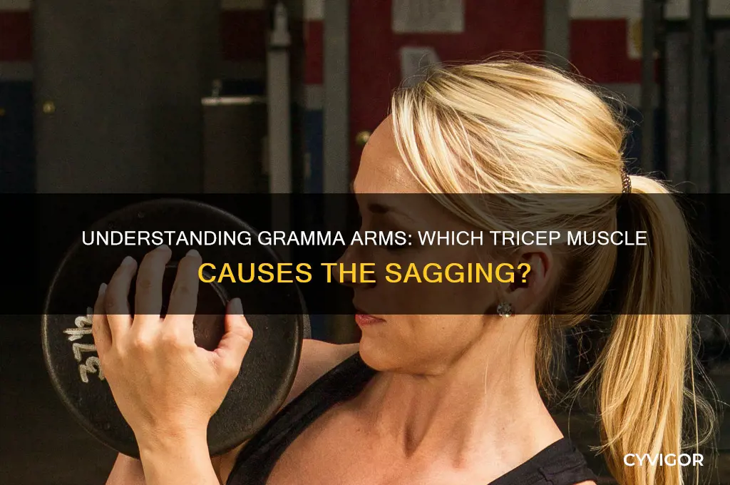 what tricep muscle is gramma arms