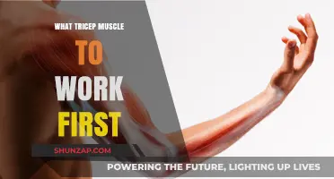 Target Your Triceps: Which Muscle to Prioritize for Optimal Growth
