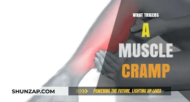 Unraveling the Mystery: What Triggers Muscle Cramps?