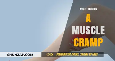 Unraveling the Mystery: What Triggers Muscle Cramps?