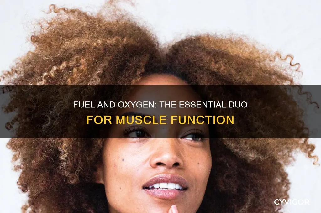 what two items do muscles need to work