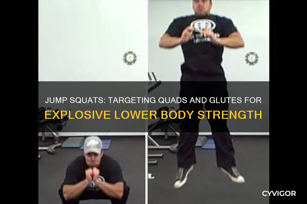 what two muscle groups do jump squats work on