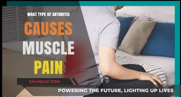 Understanding Arthritis: Which Type Triggers Muscle Pain and Discomfort?