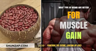 Best Beans for Muscle Gain: Top Picks for Strength and Recovery