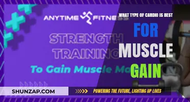 Cardio for Muscle Gain: Best Types to Build Strength