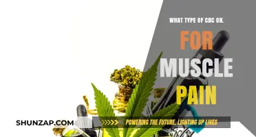 Best CBC Oil Types for Effective Muscle Pain Relief Guide