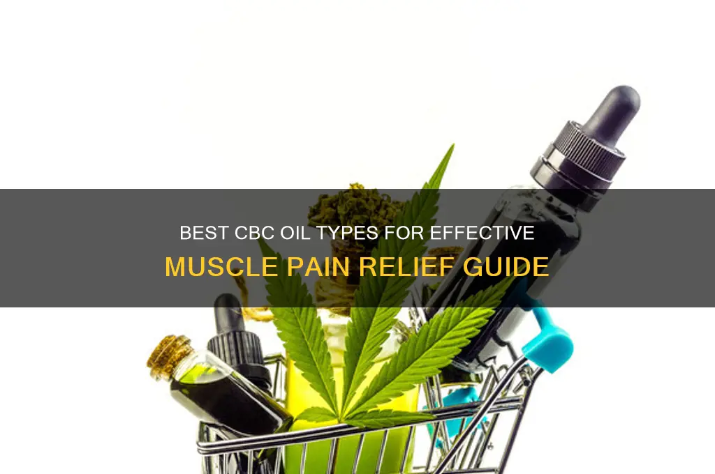 what type of cbc oil for muscle pain
