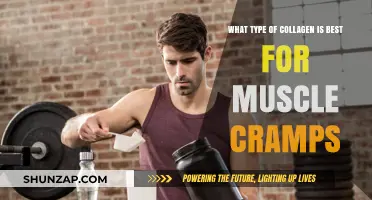 Unraveling the Best Collagen Types to Relieve Muscle Cramps