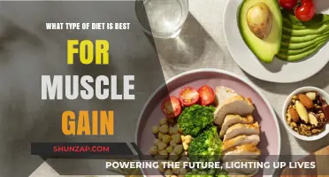 Best Diet Strategies for Optimal Muscle Gain and Strength