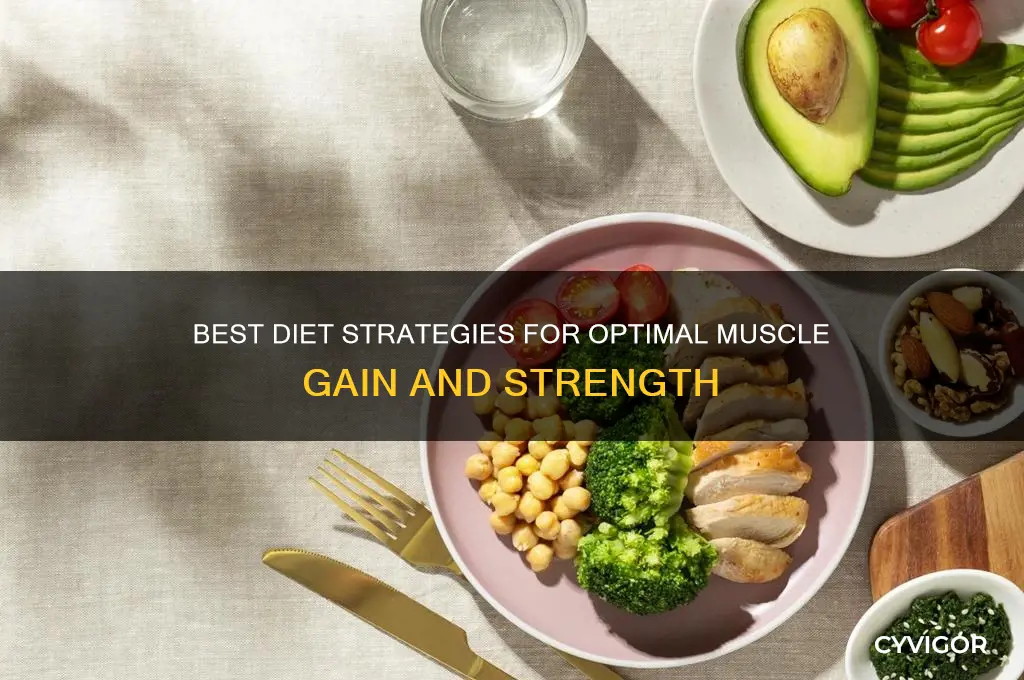 what type of diet is best for muscle gain