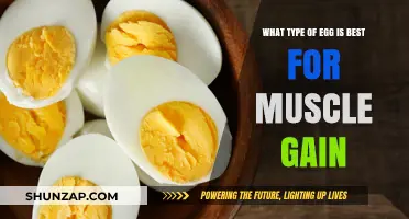 Best Egg Types for Muscle Gain: A Comprehensive Guide