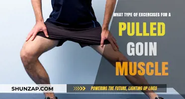 Effective Exercises for Pulled Groin Muscle Recovery and Rehabilitation