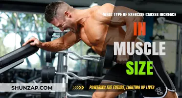 Resistance Training: The Key to Increasing Muscle Size Effectively