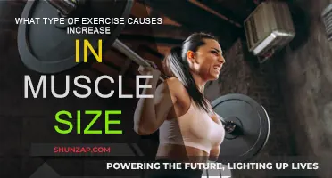 Muscle Growth: Exercises to Increase Muscle Size