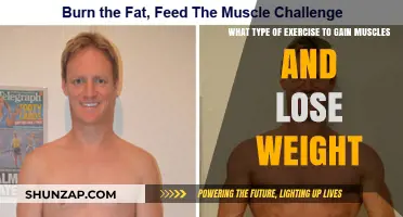 Effective Workouts to Build Muscle and Shed Pounds Fast