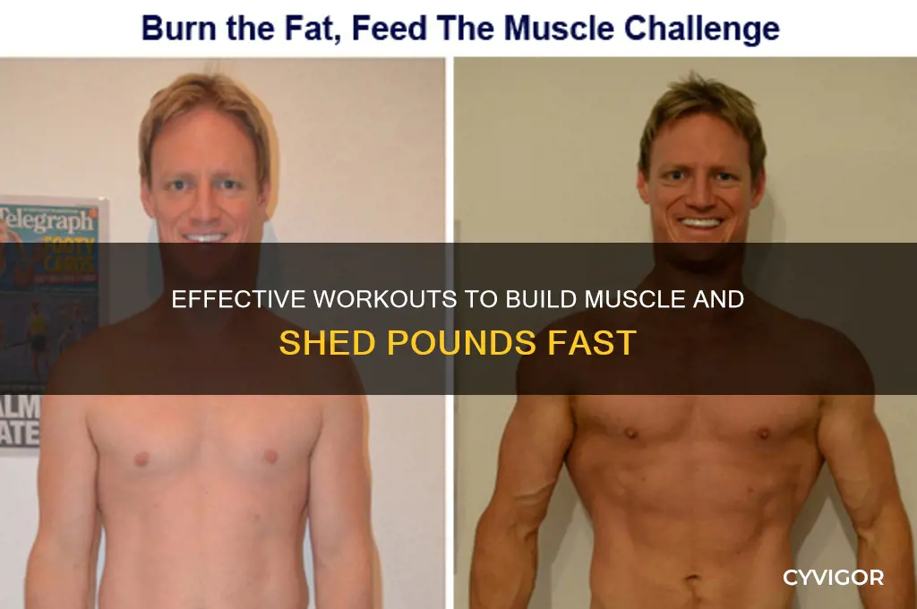 what type of exercise to gain muscles and lose weight