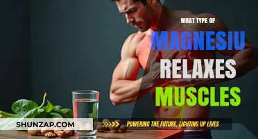 Best Magnesium Types for Muscle Relaxation and Tension Relief