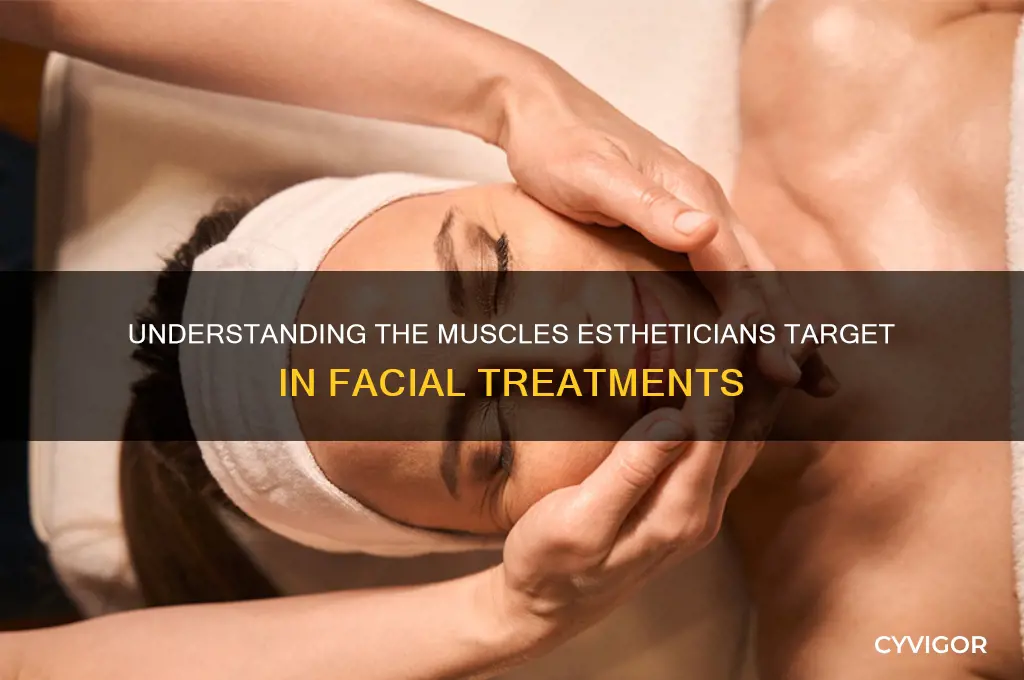 what type of muscle do estheticians work with