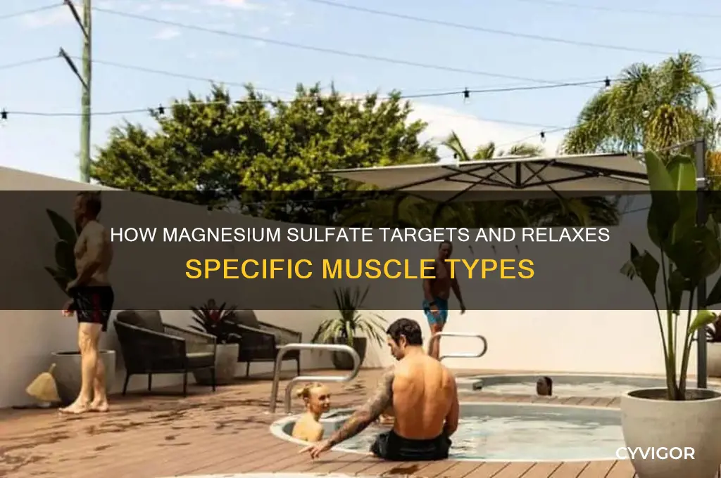 what type of muscle does magnesium sulfate work on