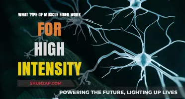 High-Intensity Workouts: Unlocking the Power of Fast-Twitch Muscle Fibers